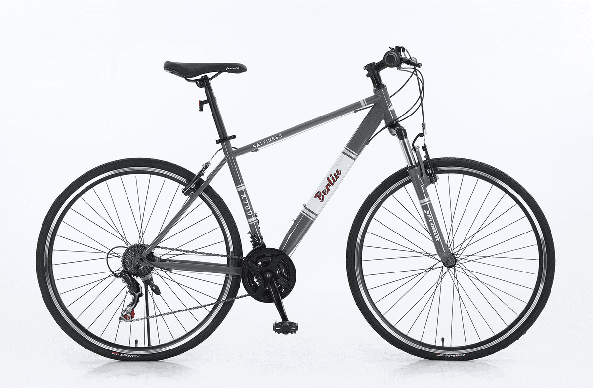 XPLORER 28" Berlin Bicycle, Gray