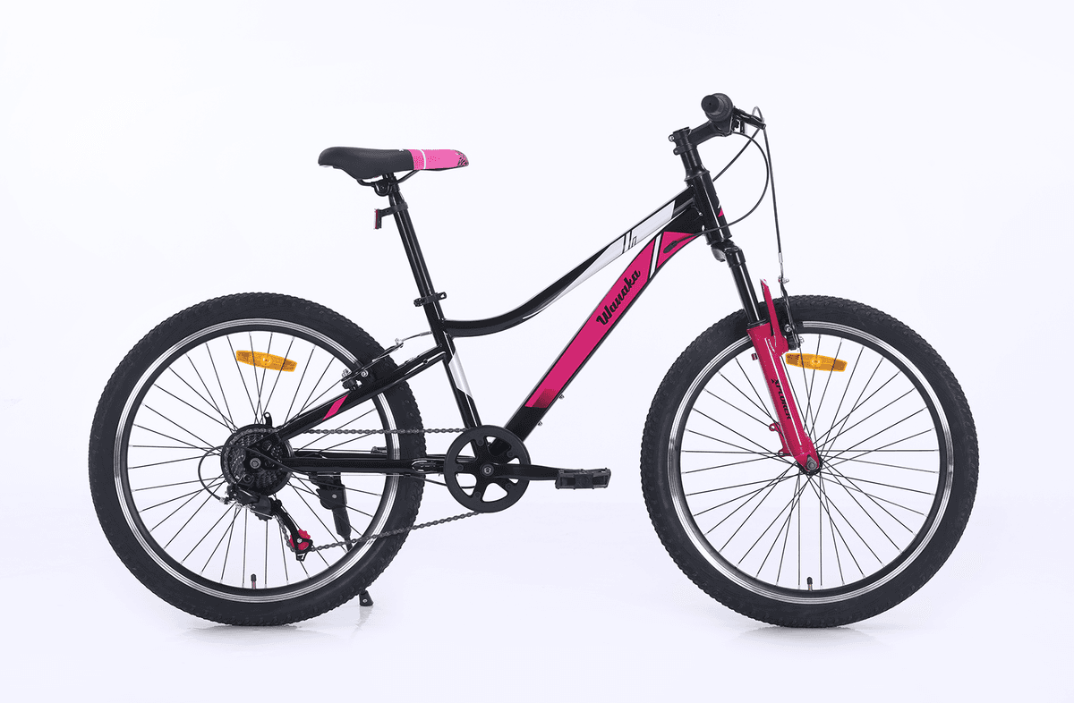 Xplorer Kids' Bicycle Wanaka, 24", Black-Pink